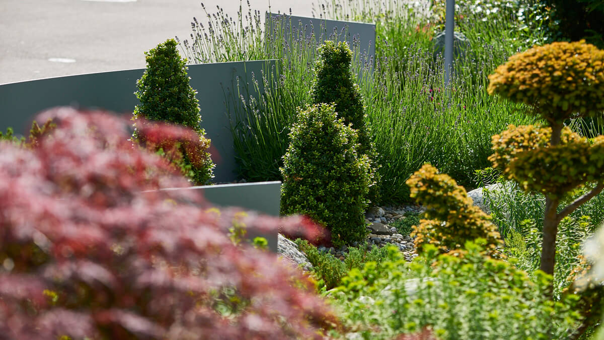 pflanzen Blattwerk Gartengestaltung GmbH Böblinger Straße 446